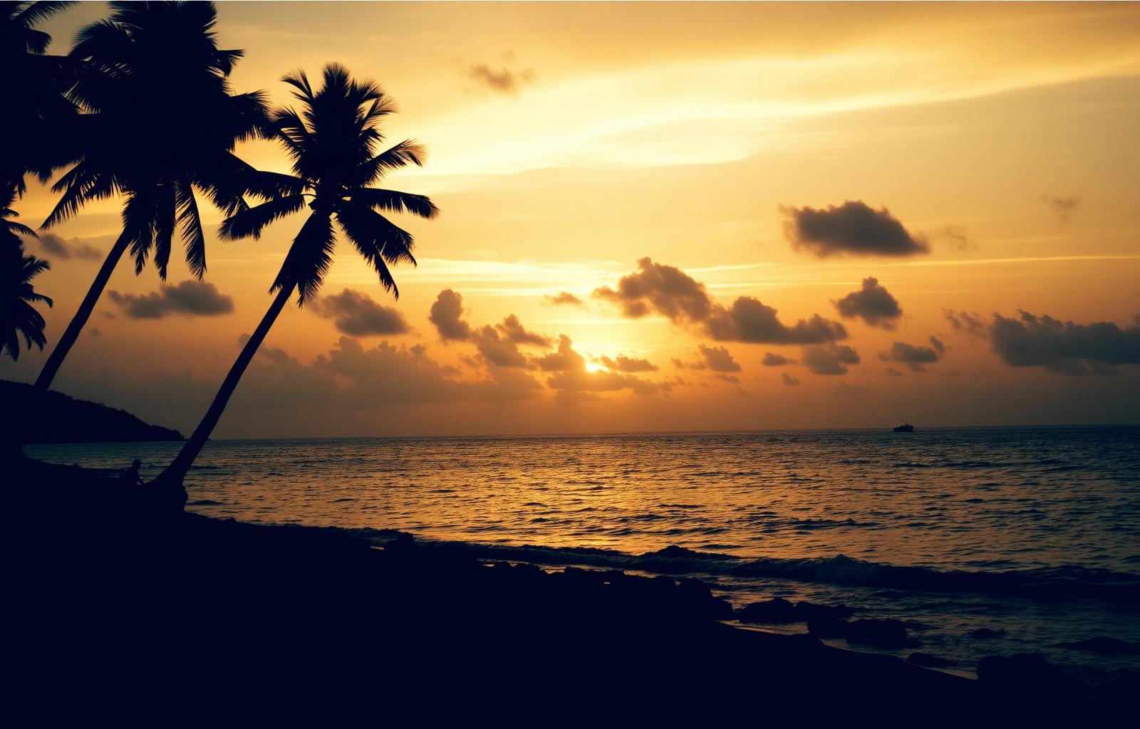 Tropical shoreline at sunset